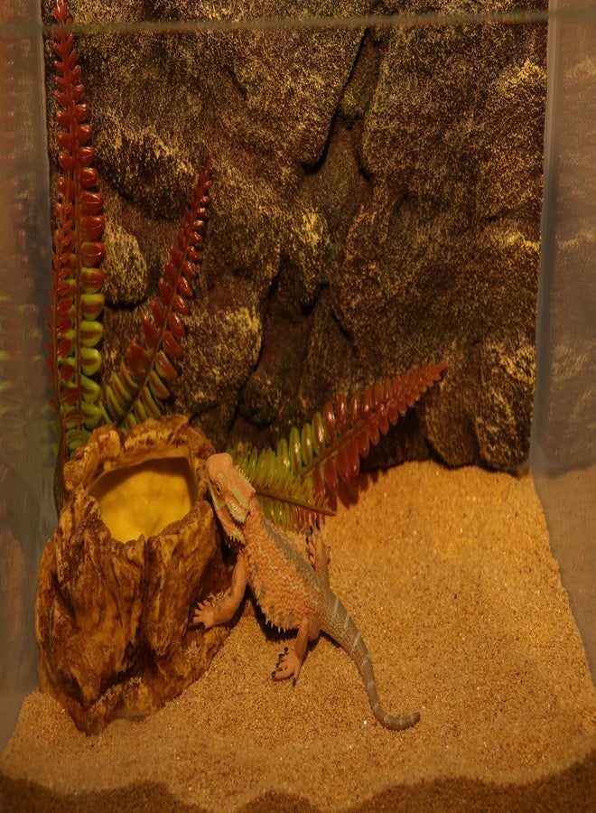 AQUA KT Reptile Food Mealworm Feeding Bowl Corn Snake Water Dish Anti Escape for Lizard Bearded Dragon Chameleon Leopard Gecko Terrarium Feeder - Image 3